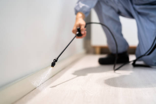 Bed Bug Pre-Treatment Preparation Assessment in Grayling