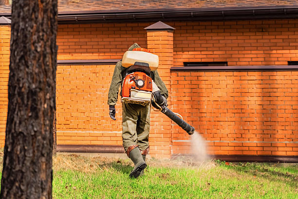 Bed Bug Clearance Verification and Documentation in Grayling